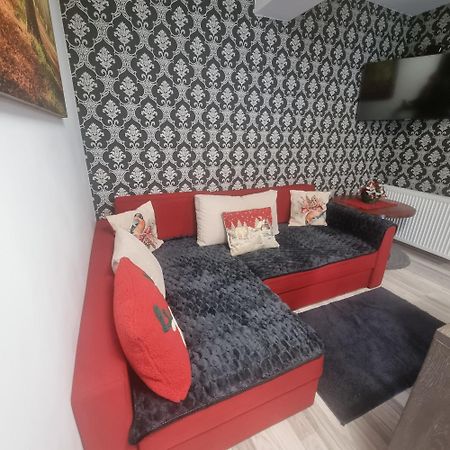 Apartament Kalinderu K2 Buşteni Zewnętrze zdjęcie