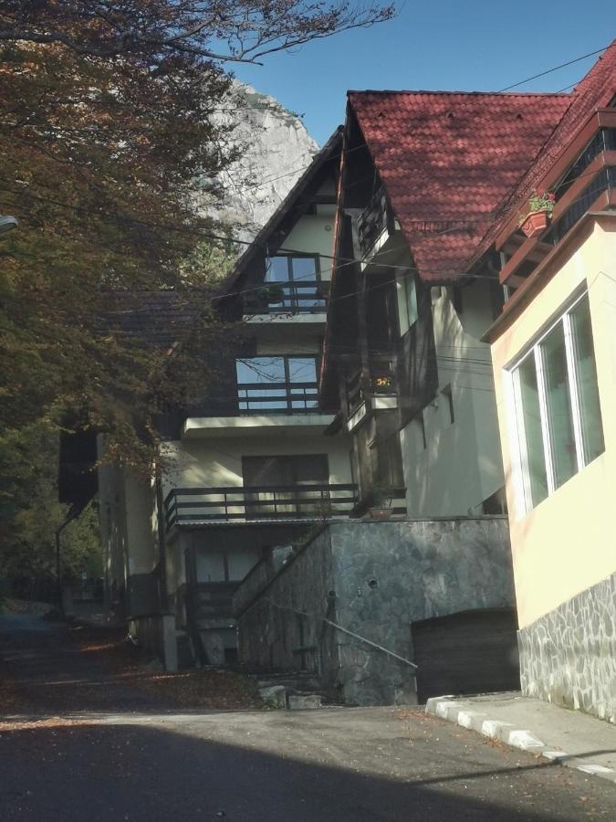 Apartament Kalinderu K2 Buşteni Zewnętrze zdjęcie