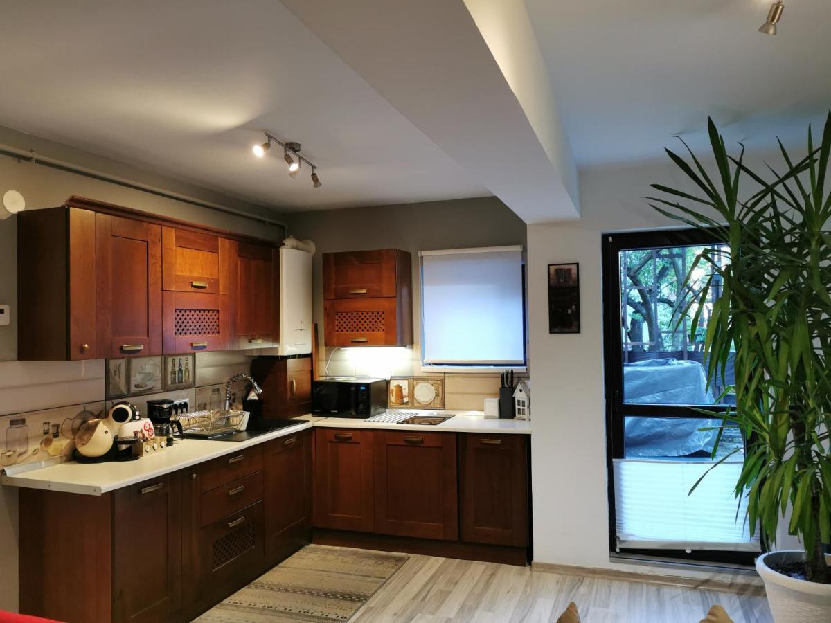 Apartament Kalinderu K2 Buşteni Zewnętrze zdjęcie