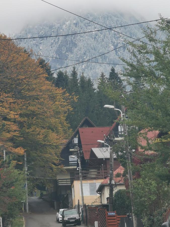 Apartament Kalinderu K2 Buşteni Zewnętrze zdjęcie