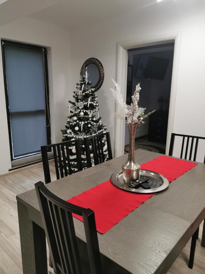 Apartament Kalinderu K2 Buşteni Zewnętrze zdjęcie
