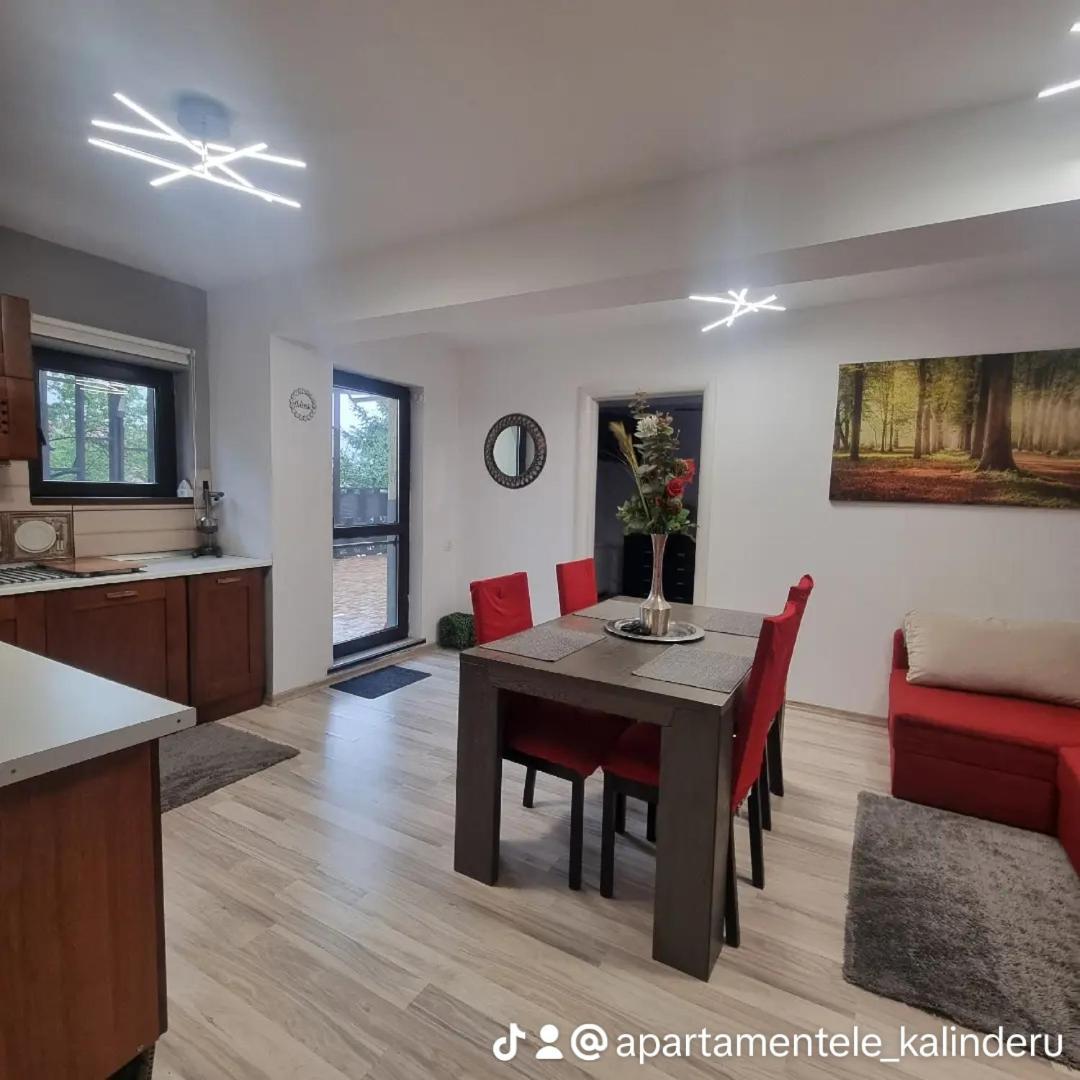 Apartament Kalinderu K2 Buşteni Zewnętrze zdjęcie