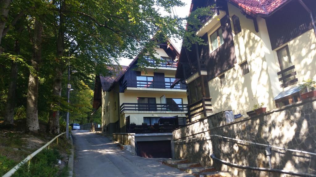 Apartament Kalinderu K2 Buşteni Zewnętrze zdjęcie