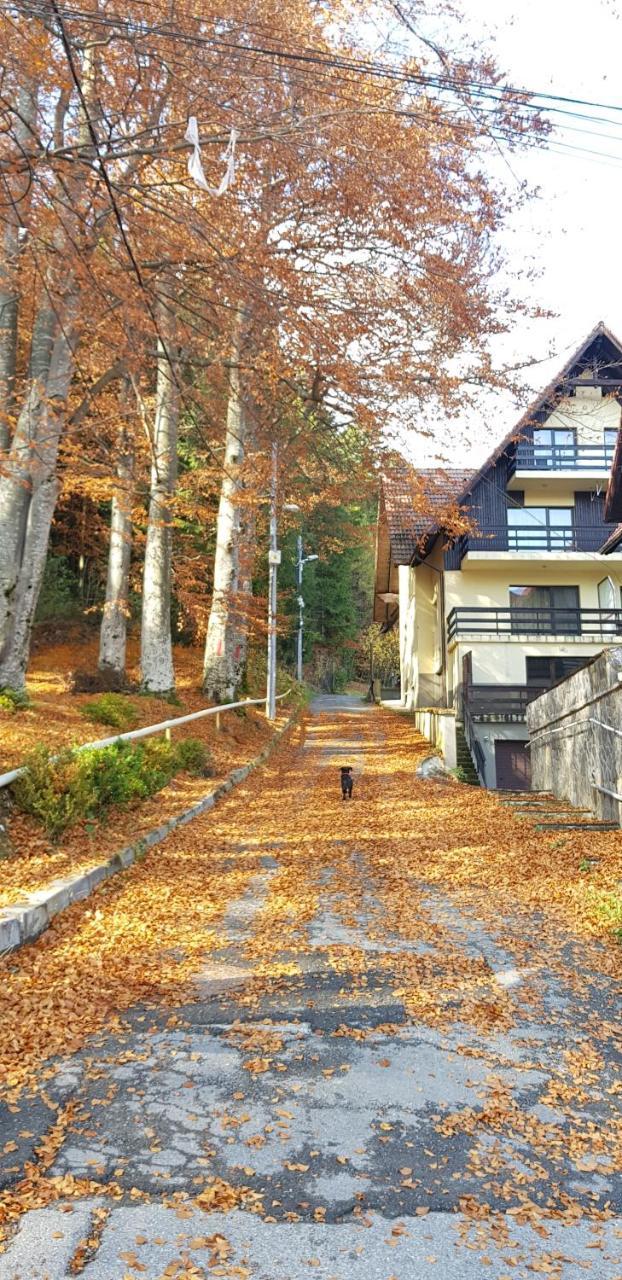 Apartament Kalinderu K2 Buşteni Zewnętrze zdjęcie