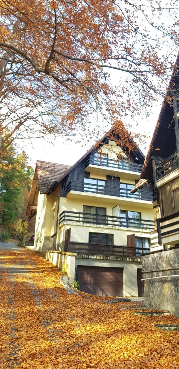 Apartament Kalinderu K2 Buşteni Zewnętrze zdjęcie
