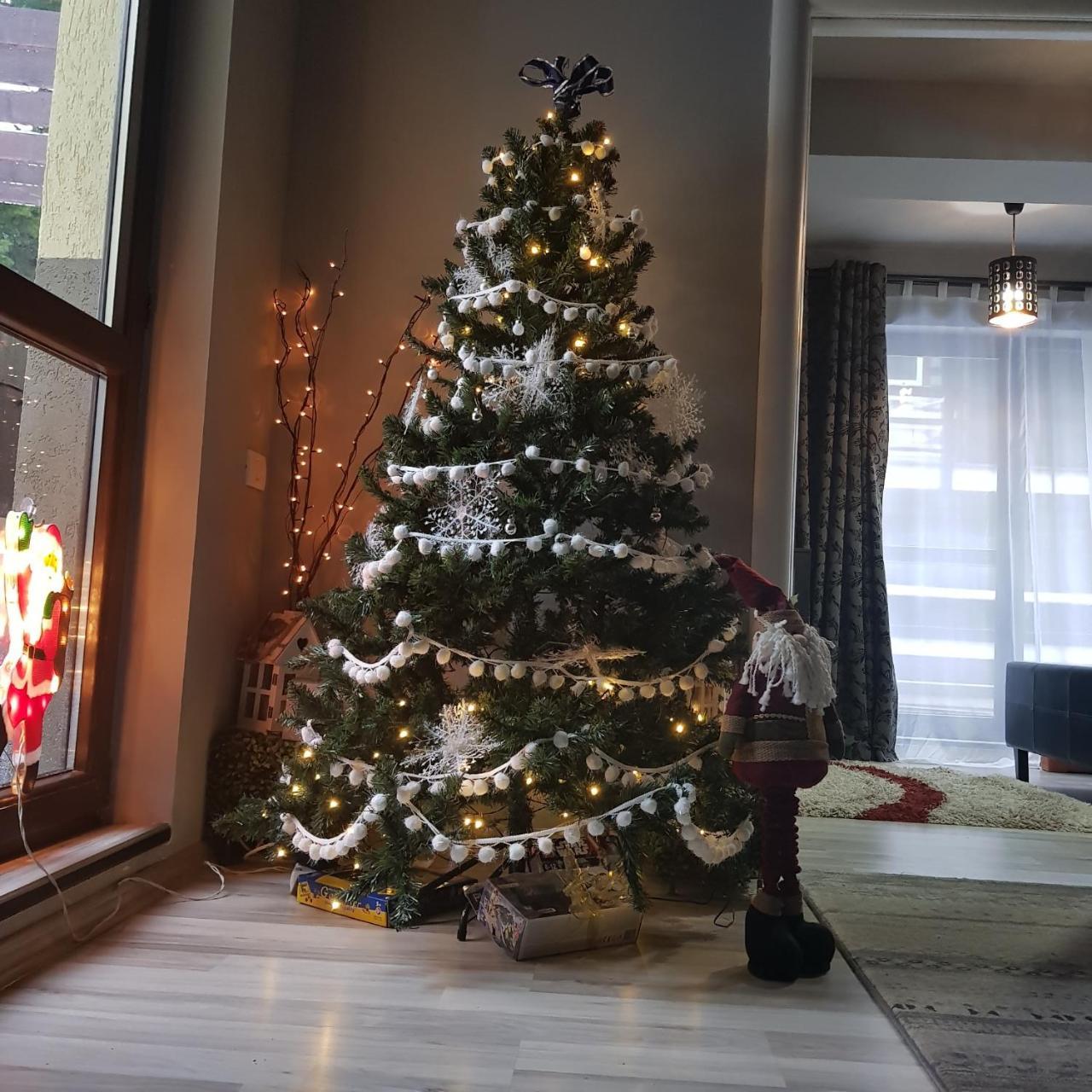 Apartament Kalinderu K2 Buşteni Zewnętrze zdjęcie