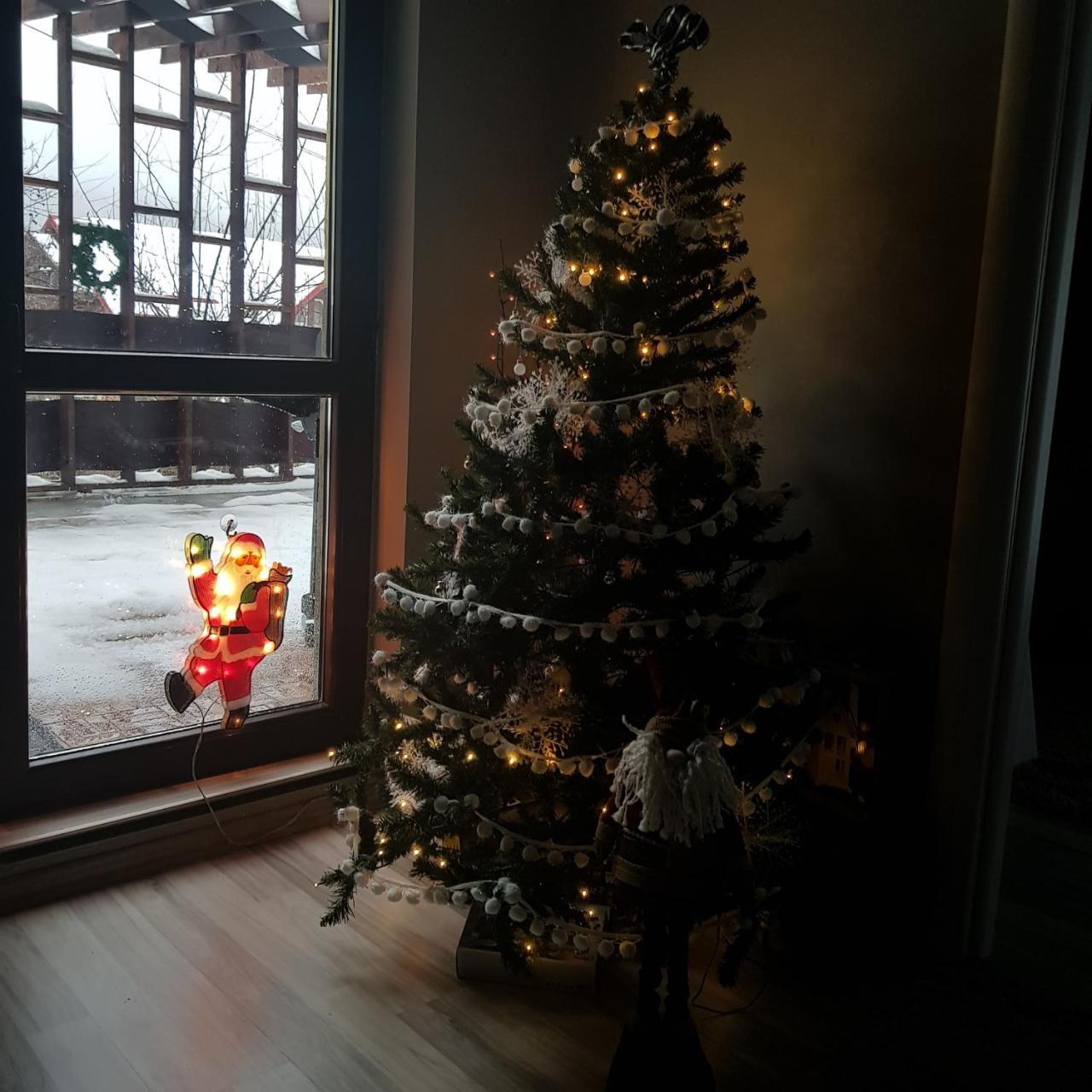 Apartament Kalinderu K2 Buşteni Zewnętrze zdjęcie
