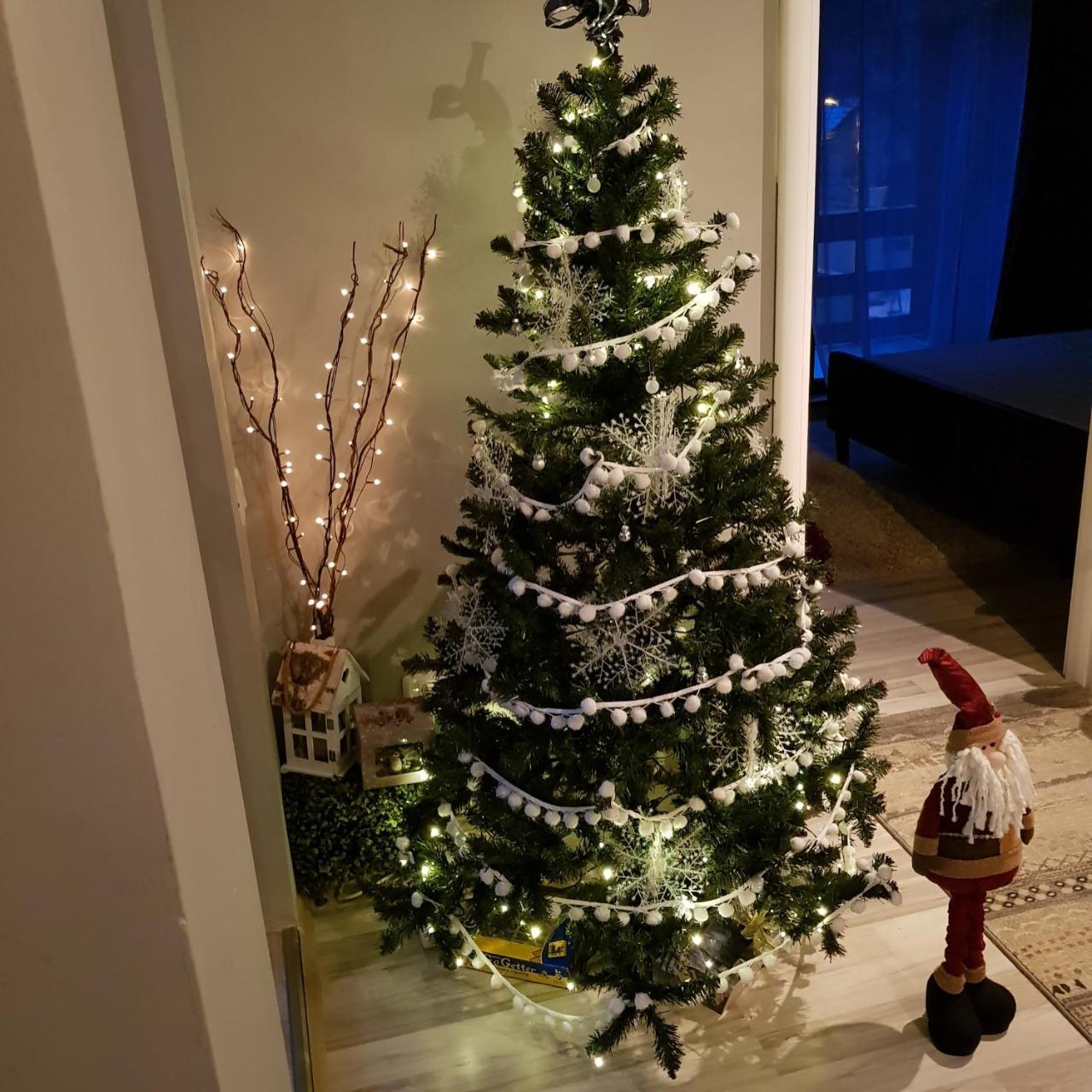 Apartament Kalinderu K2 Buşteni Zewnętrze zdjęcie