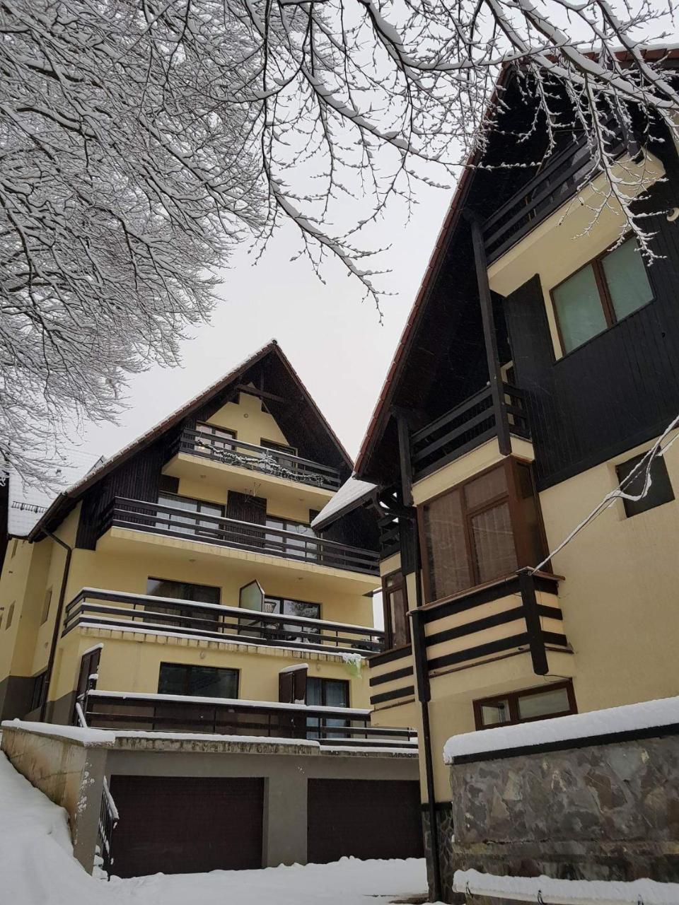 Apartament Kalinderu K2 Buşteni Zewnętrze zdjęcie